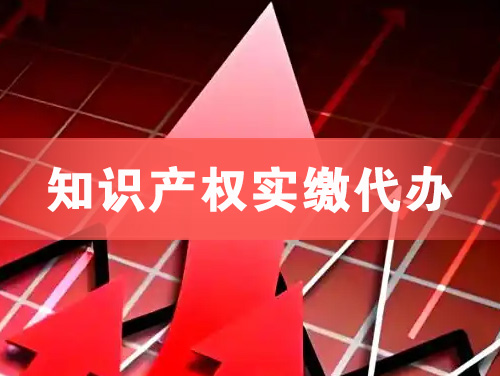 桐城知识产权实缴资本代办